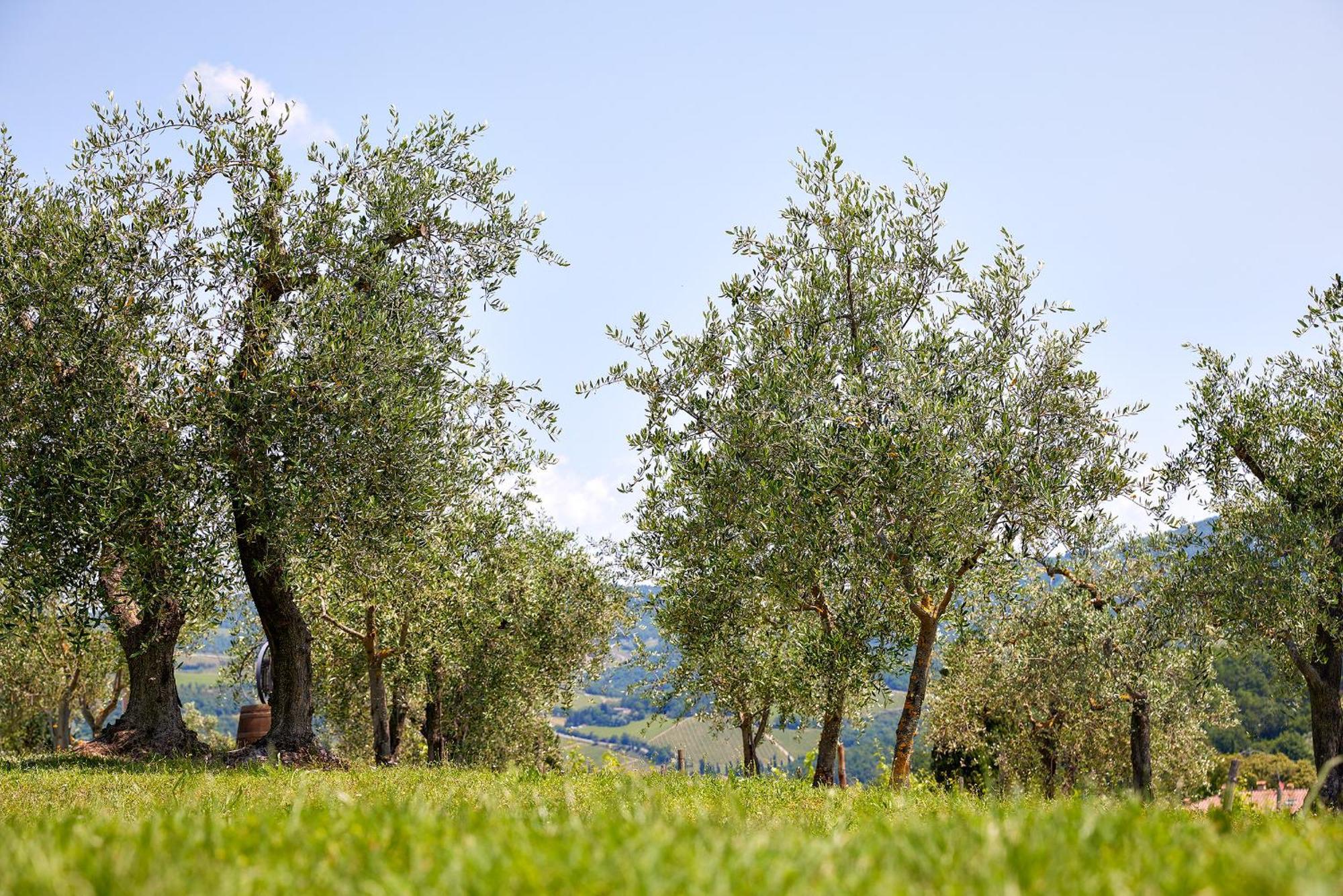 Tenuta Il Poggetto ราดดา อิน เคียนติ ภายนอก รูปภาพ
