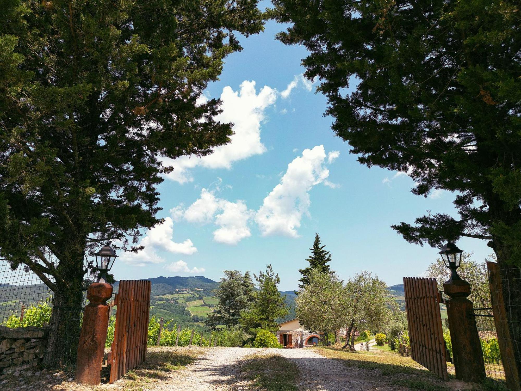 Tenuta Il Poggetto ราดดา อิน เคียนติ ภายนอก รูปภาพ