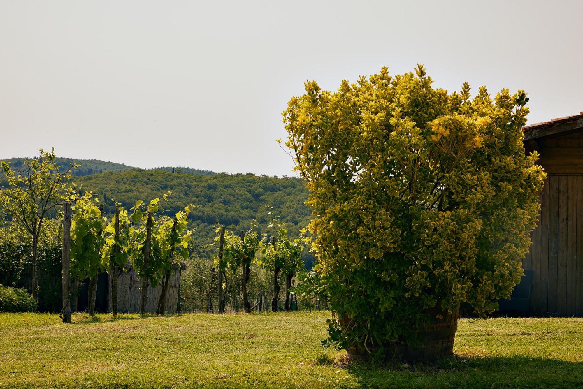 Tenuta Il Poggetto ราดดา อิน เคียนติ ภายนอก รูปภาพ