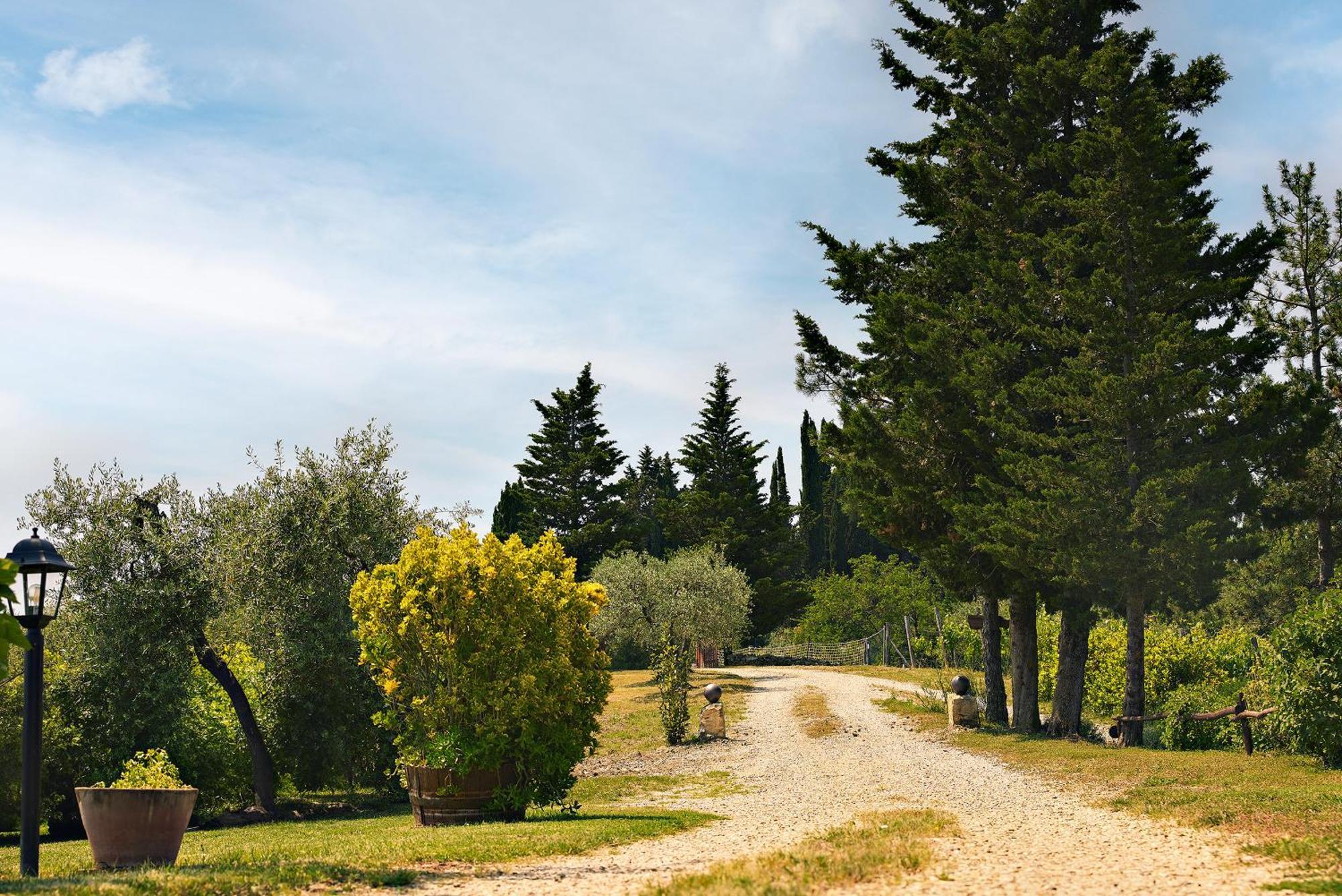 Tenuta Il Poggetto ราดดา อิน เคียนติ ภายนอก รูปภาพ